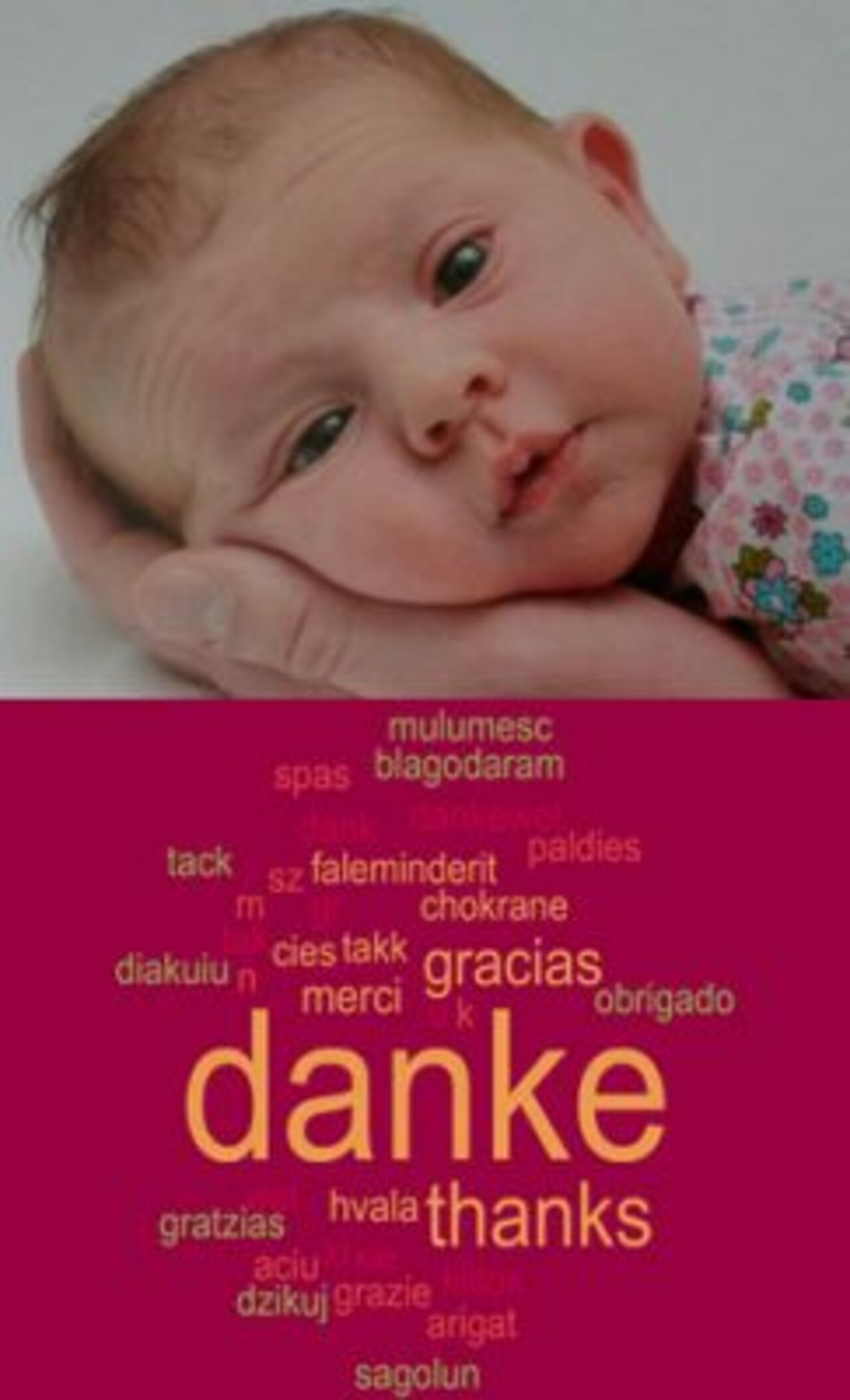 Stammzellenspender gefunden Image 0