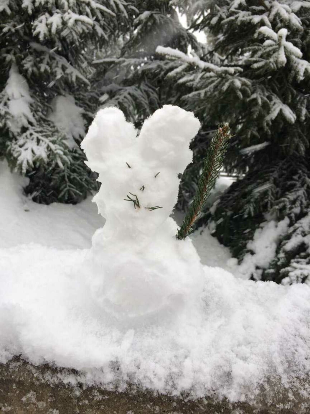 Skifahrt nach Österreich Image 17