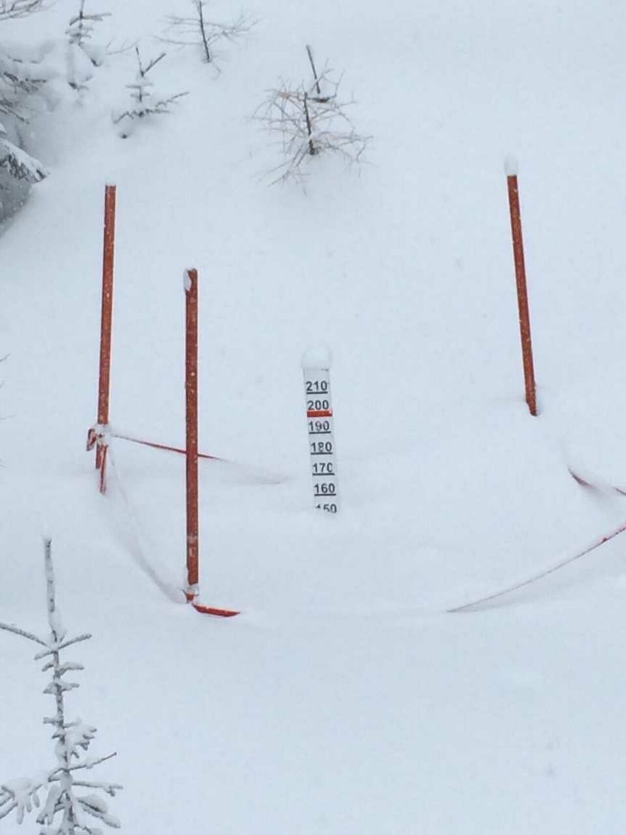 Skifahrt nach Österreich Image 19