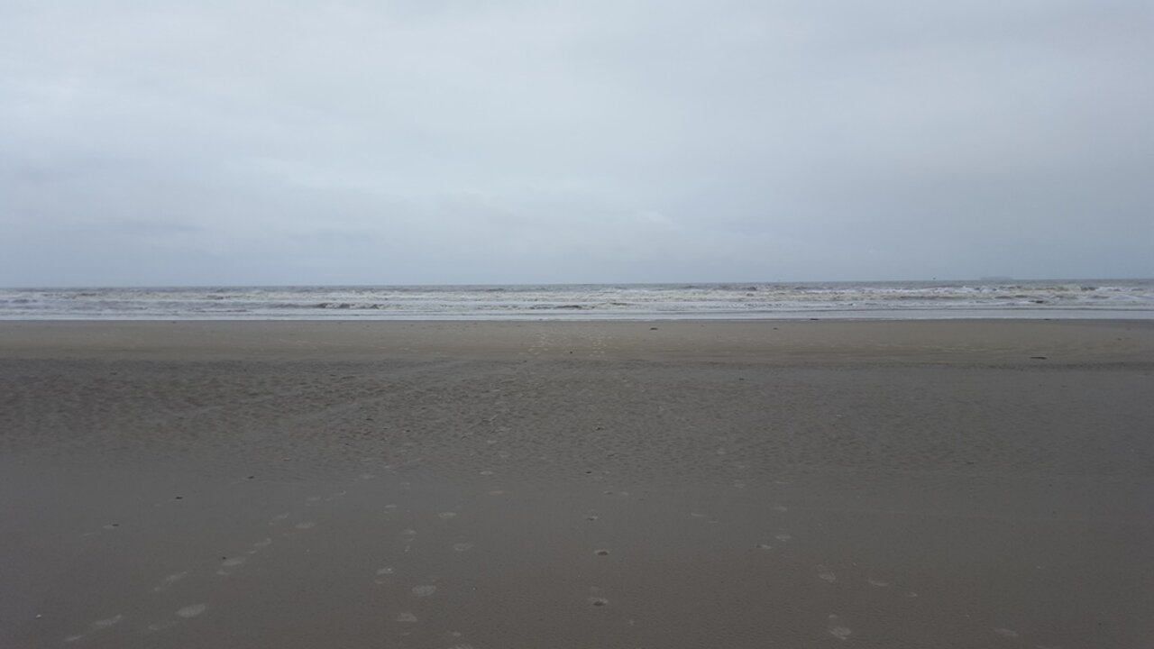 Terschelling 2018 Image 1