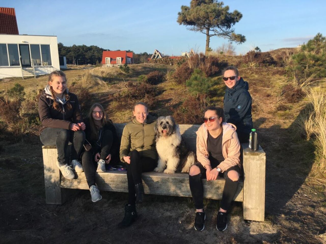 Terschelling 2018 Image 4