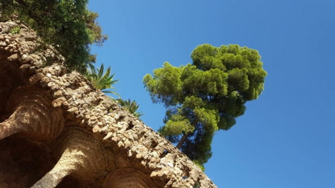 Abiturjahrgang auf Studienfahrt in Spanien Image 20