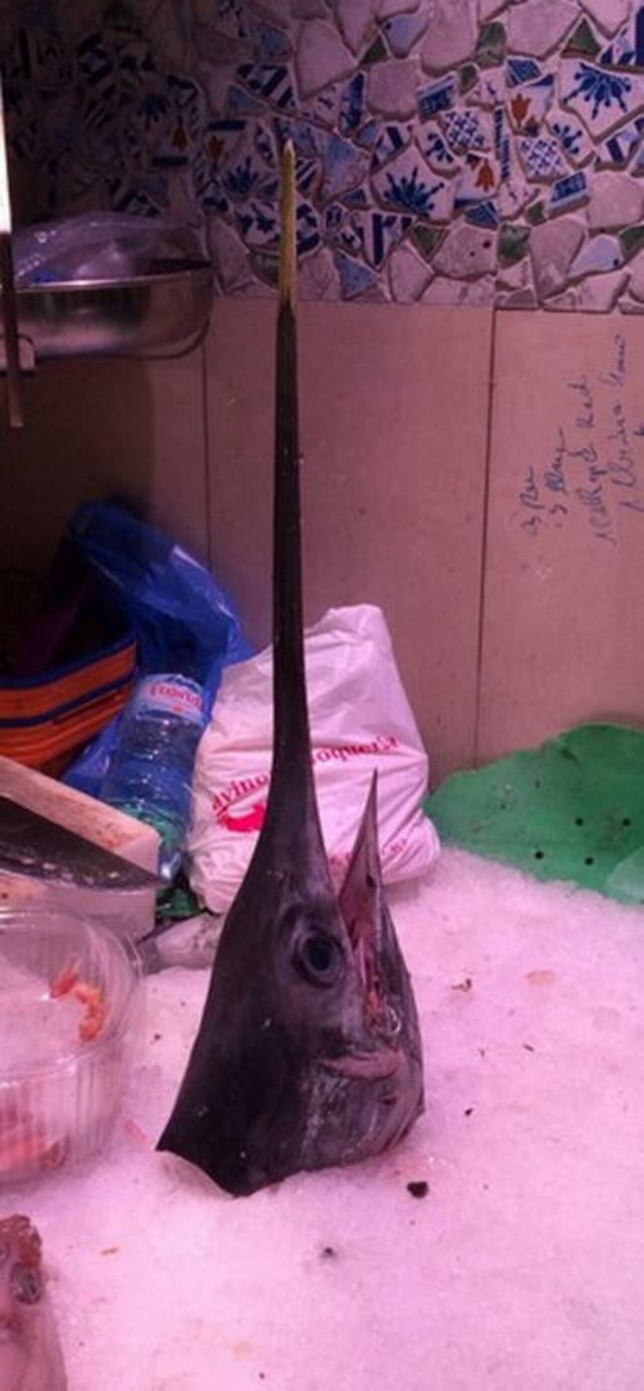 Abiturjahrgang auf Studienfahrt in Spanien Image 42