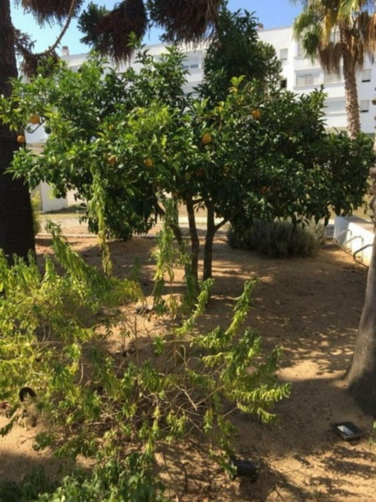 Abiturjahrgang auf Studienfahrt in Spanien Image 47