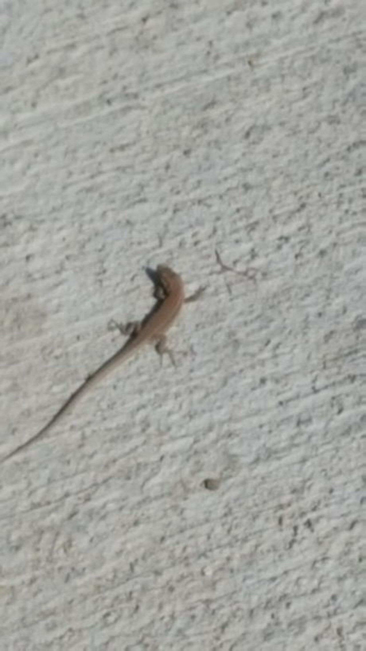 Abiturjahrgang auf Studienfahrt in Spanien Image 49