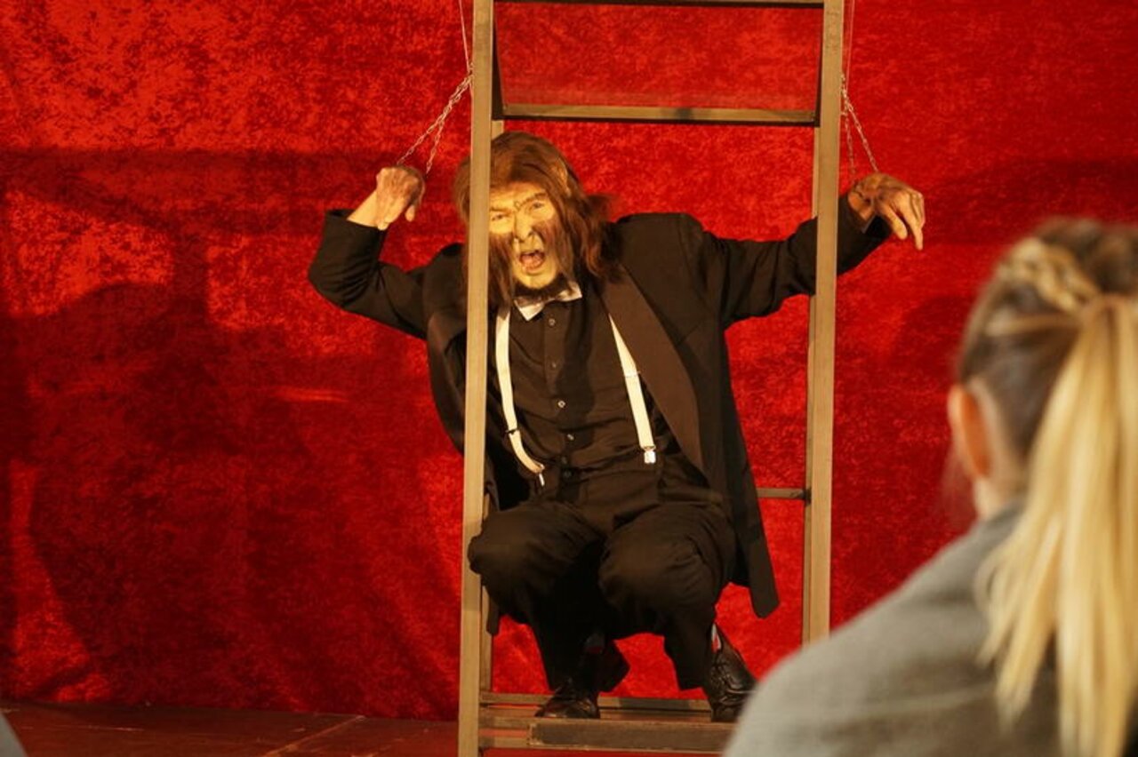 Ein Affe mit Persönlichkeit Image 2