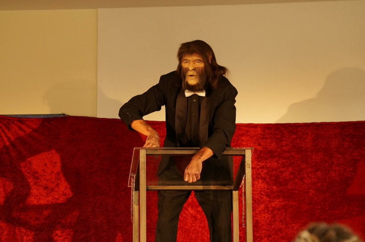 Ein Affe mit Persönlichkeit Image 3