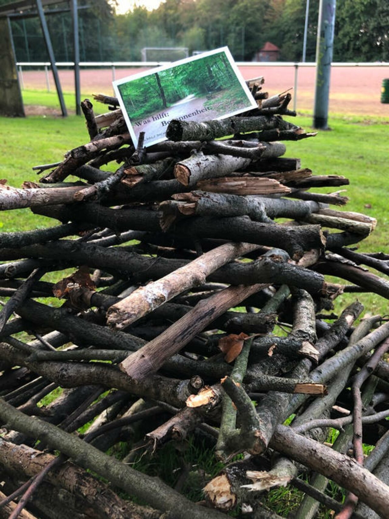 Wandel-Wald-Gottesdienst für Religionslehrkräfte Image 2