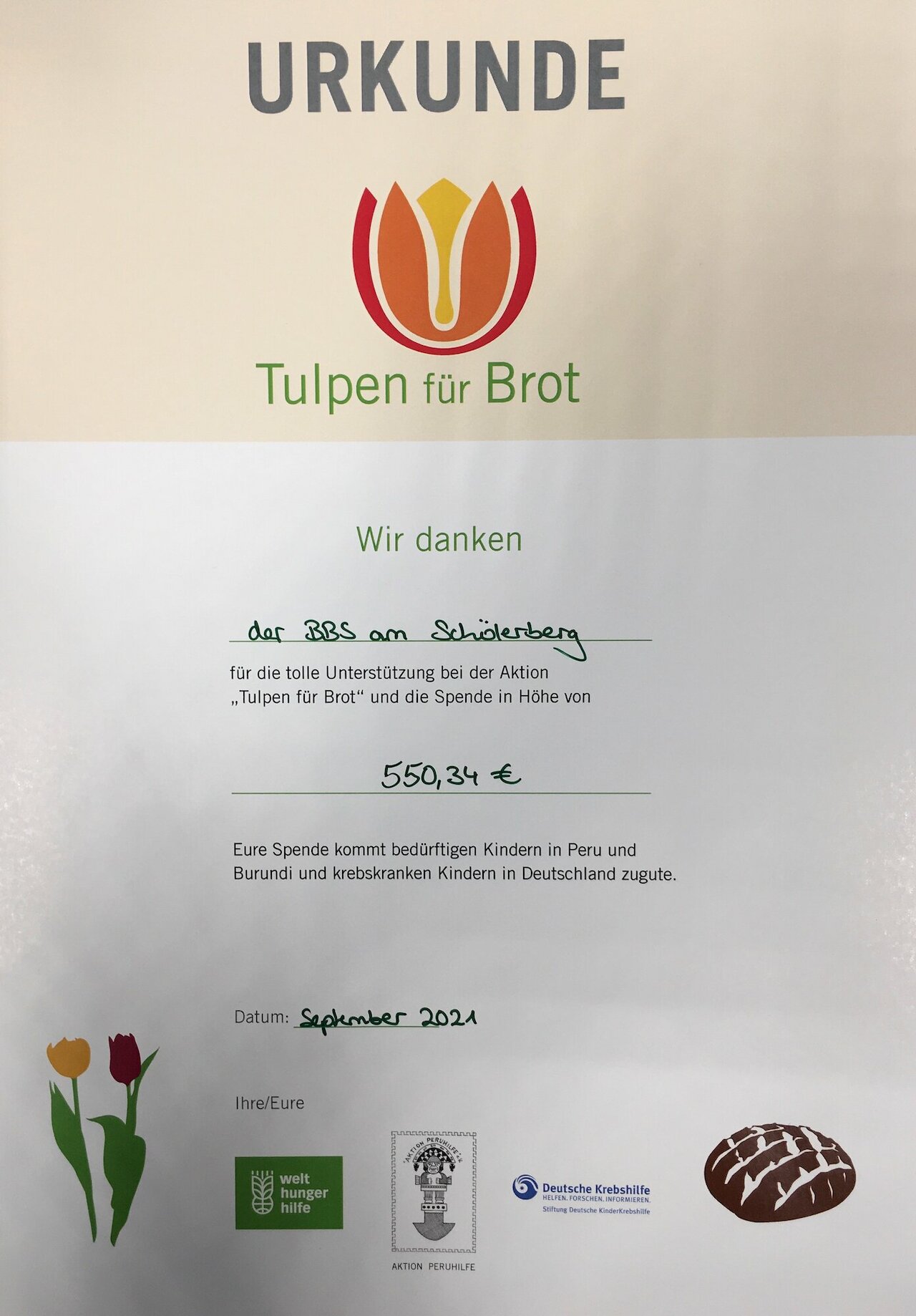 Aktion „Tulpen für Brot“ Image 1