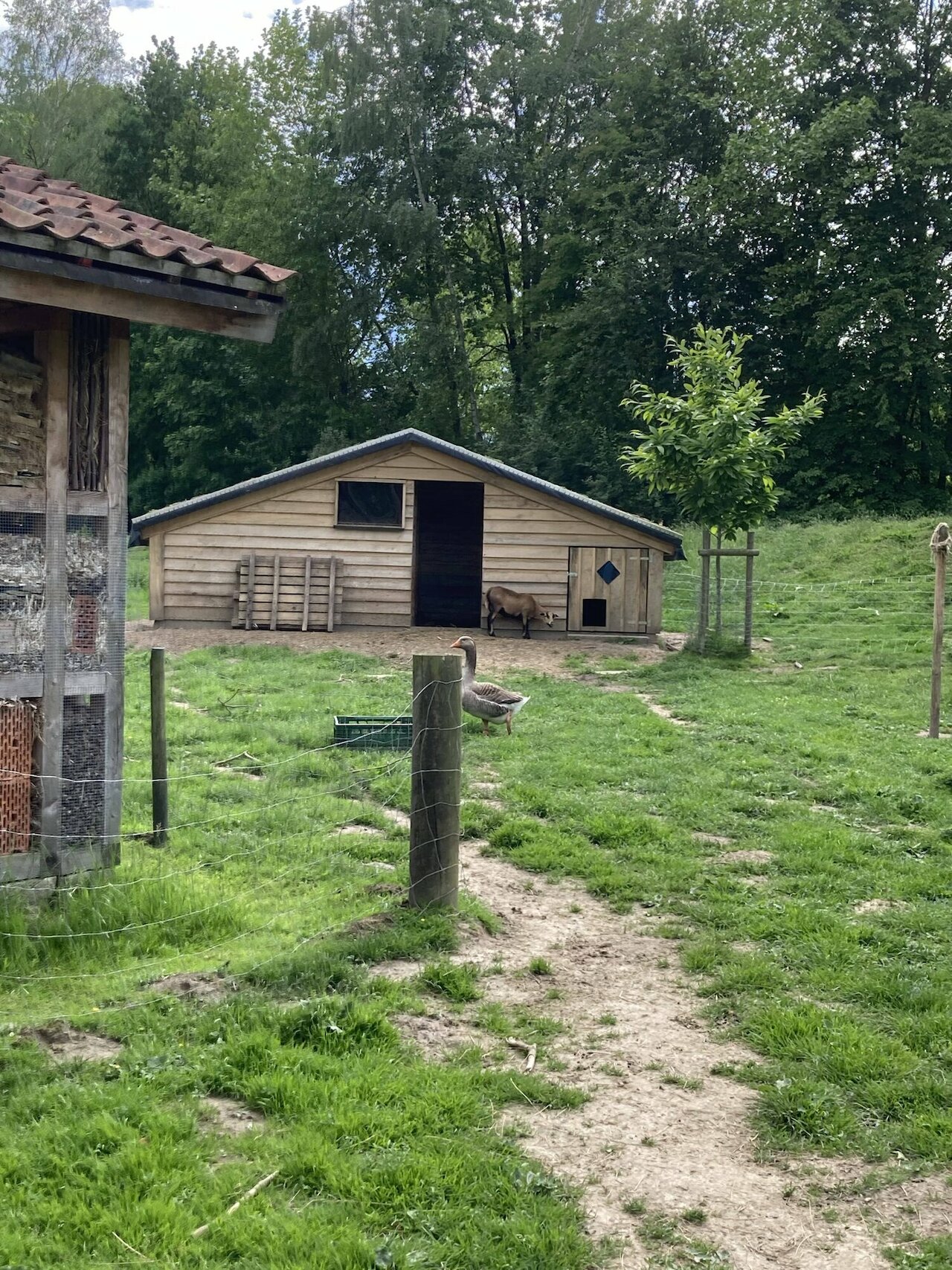 Klimaschutz an Schulen Image 2