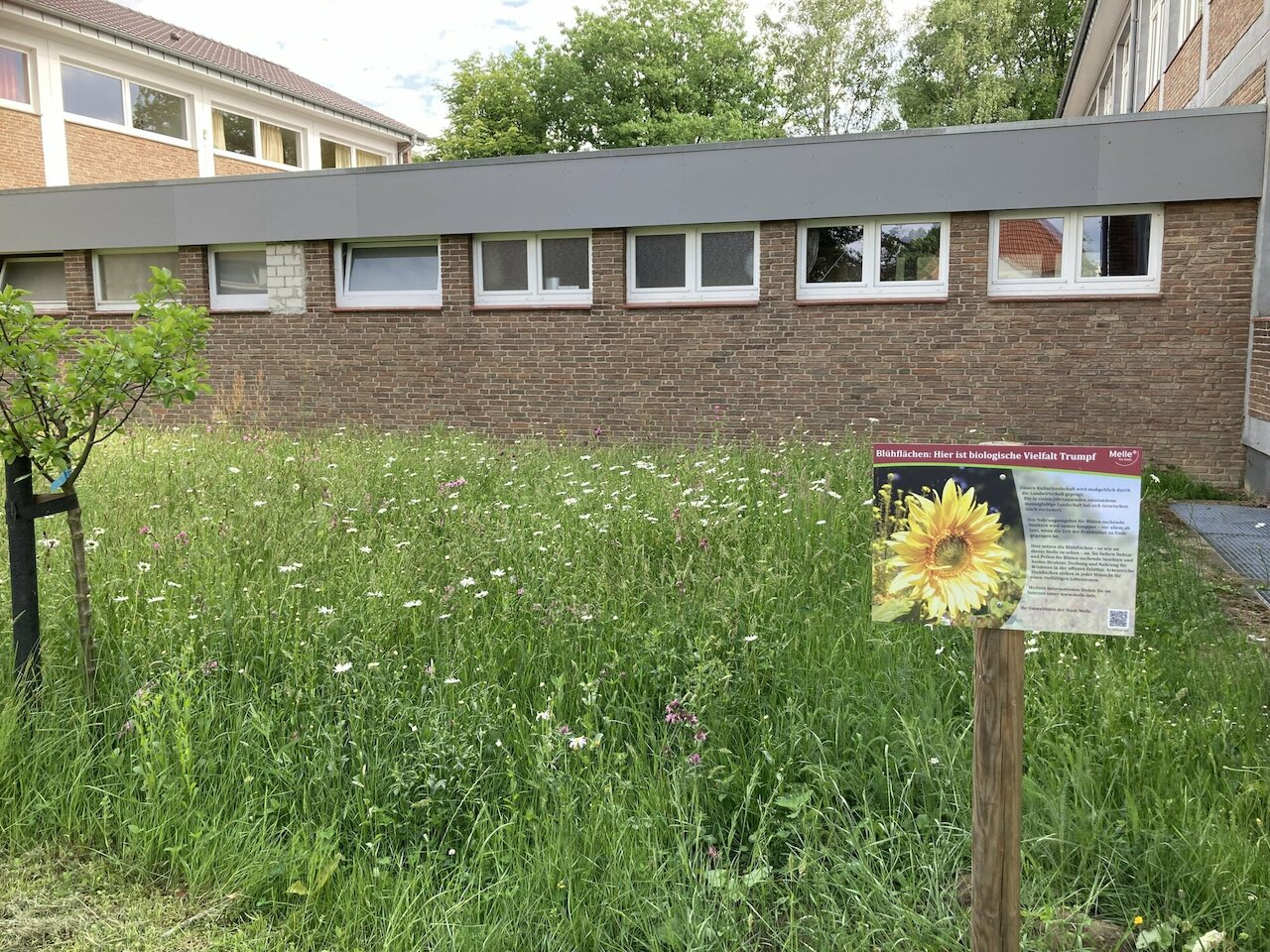 Klimaschutz an Schulen Image 3