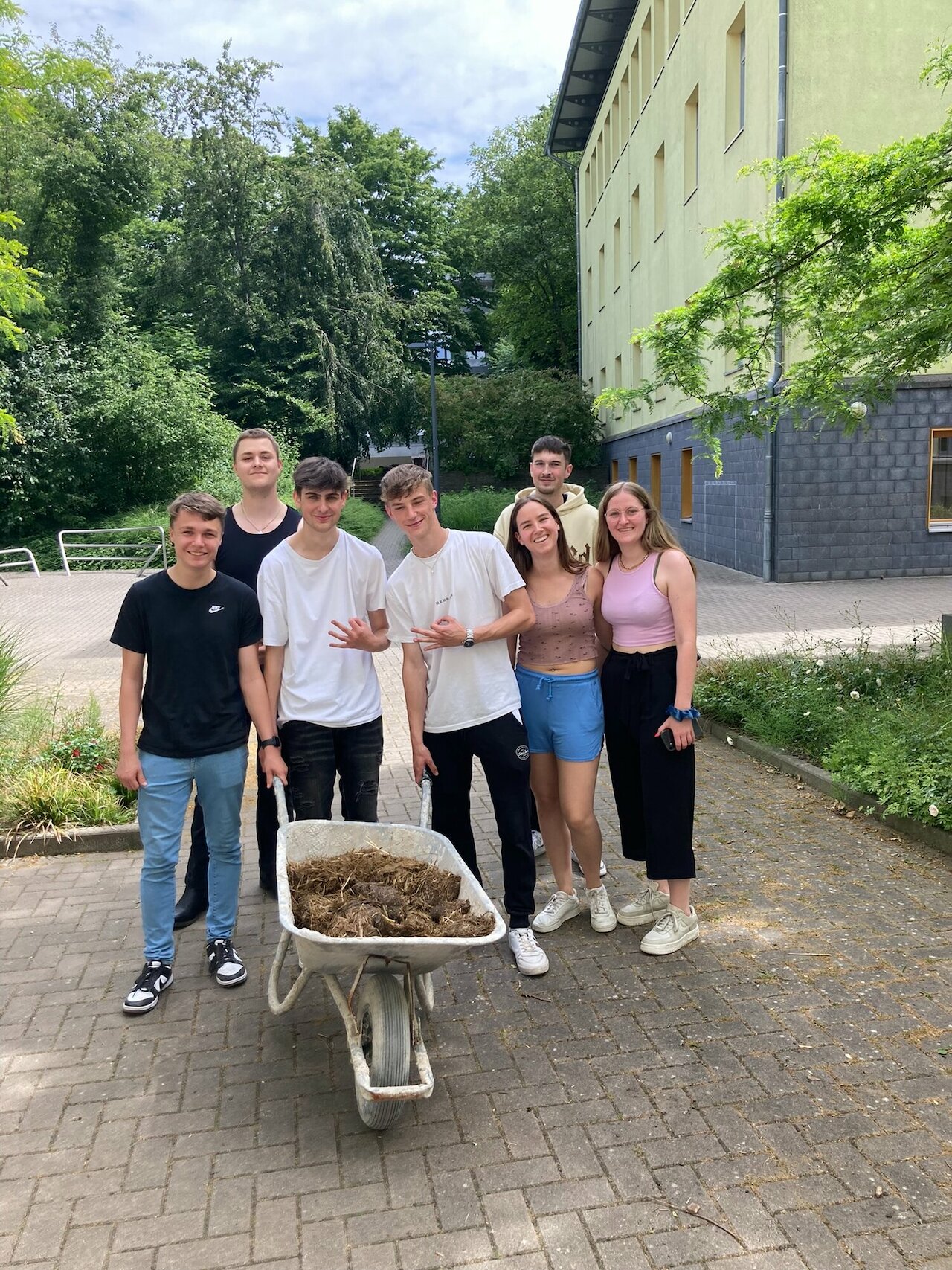 Unsere Schule grüner machen - Kräuter und Gemüse für alle! Image 5