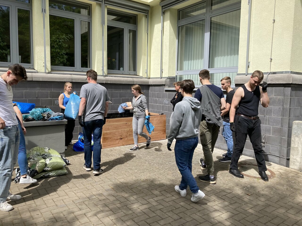 Unsere Schule grüner machen - Kräuter und Gemüse für alle! Image 6