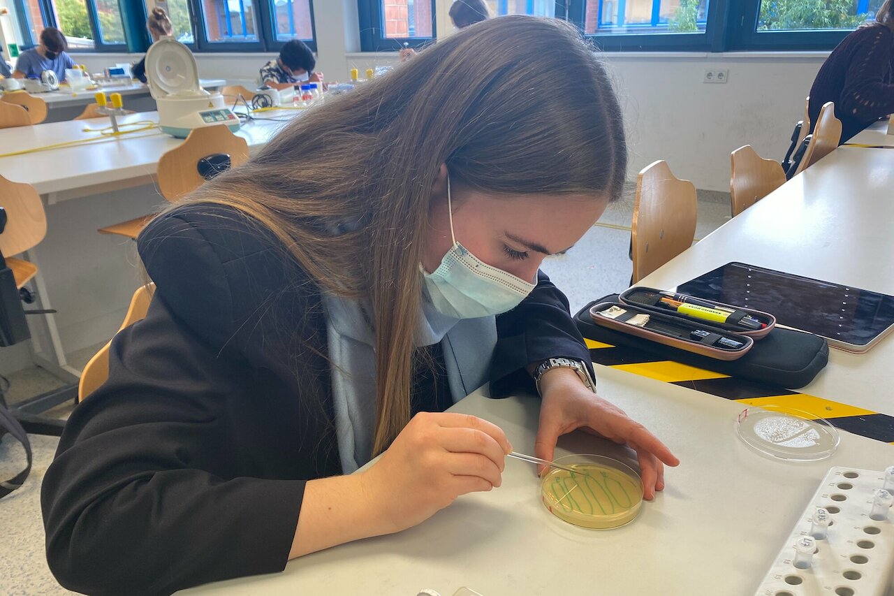 Die Herbstakademie, eine großartige Möglichkeit! Image 1