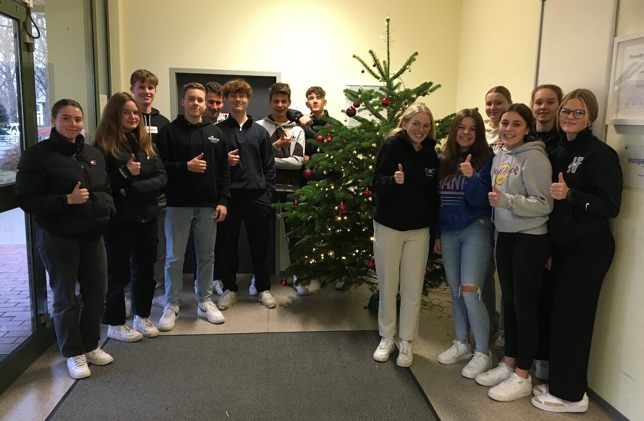 Fragen und Antworten rund um den Weihnachtsbaum Image 1