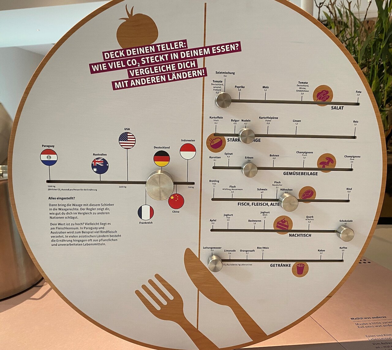 Workshop im Umweltbildungszentrum Image 2