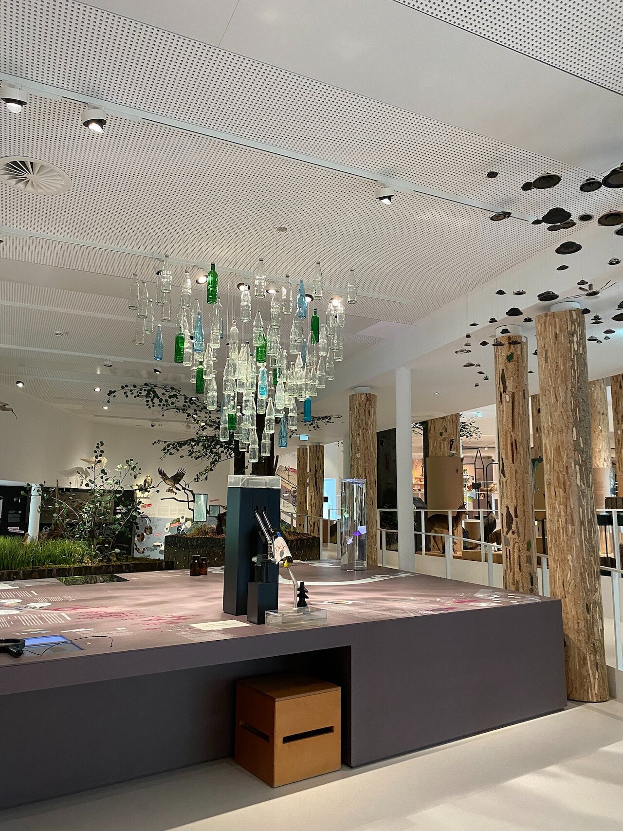 Workshop im Umweltbildungszentrum Image 4