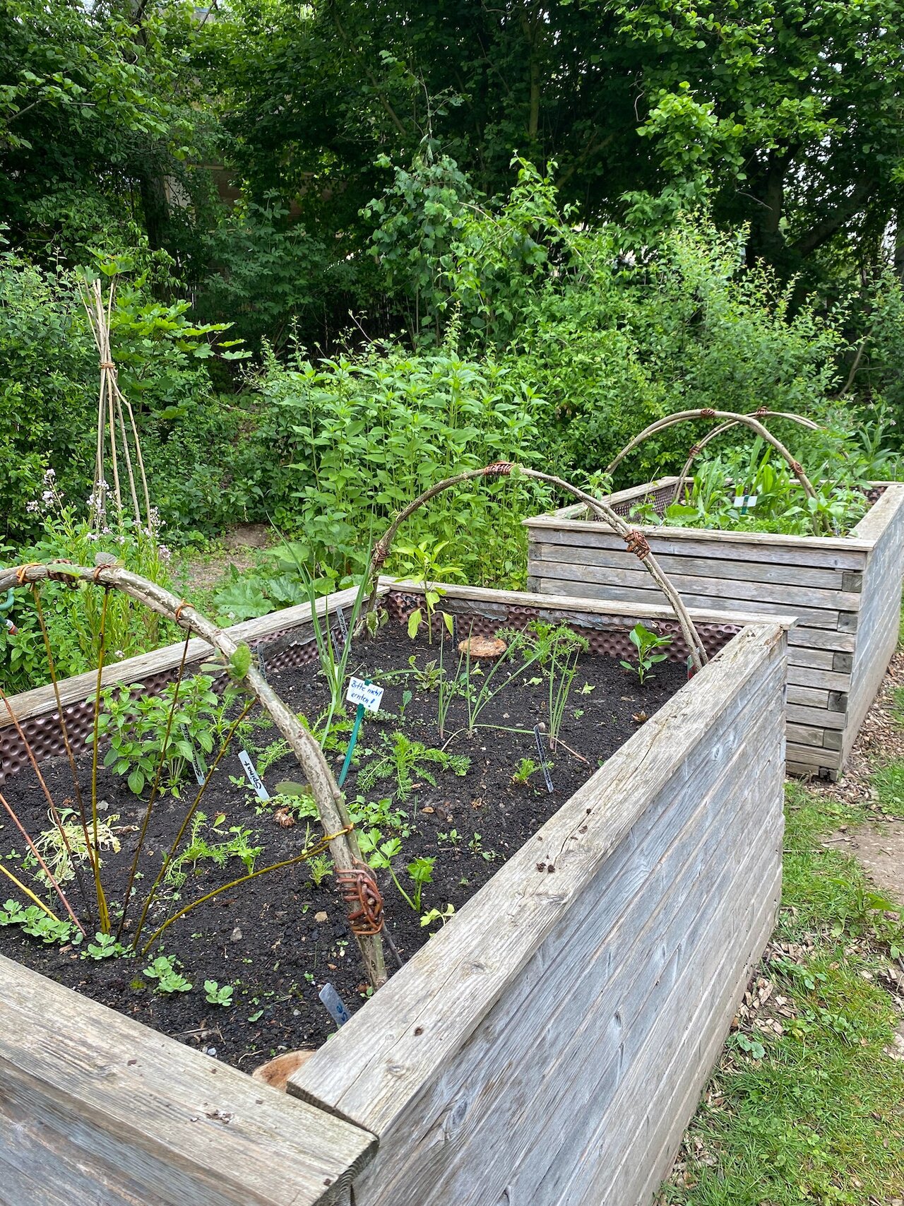 Workshop im Umweltbildungszentrum Image 6