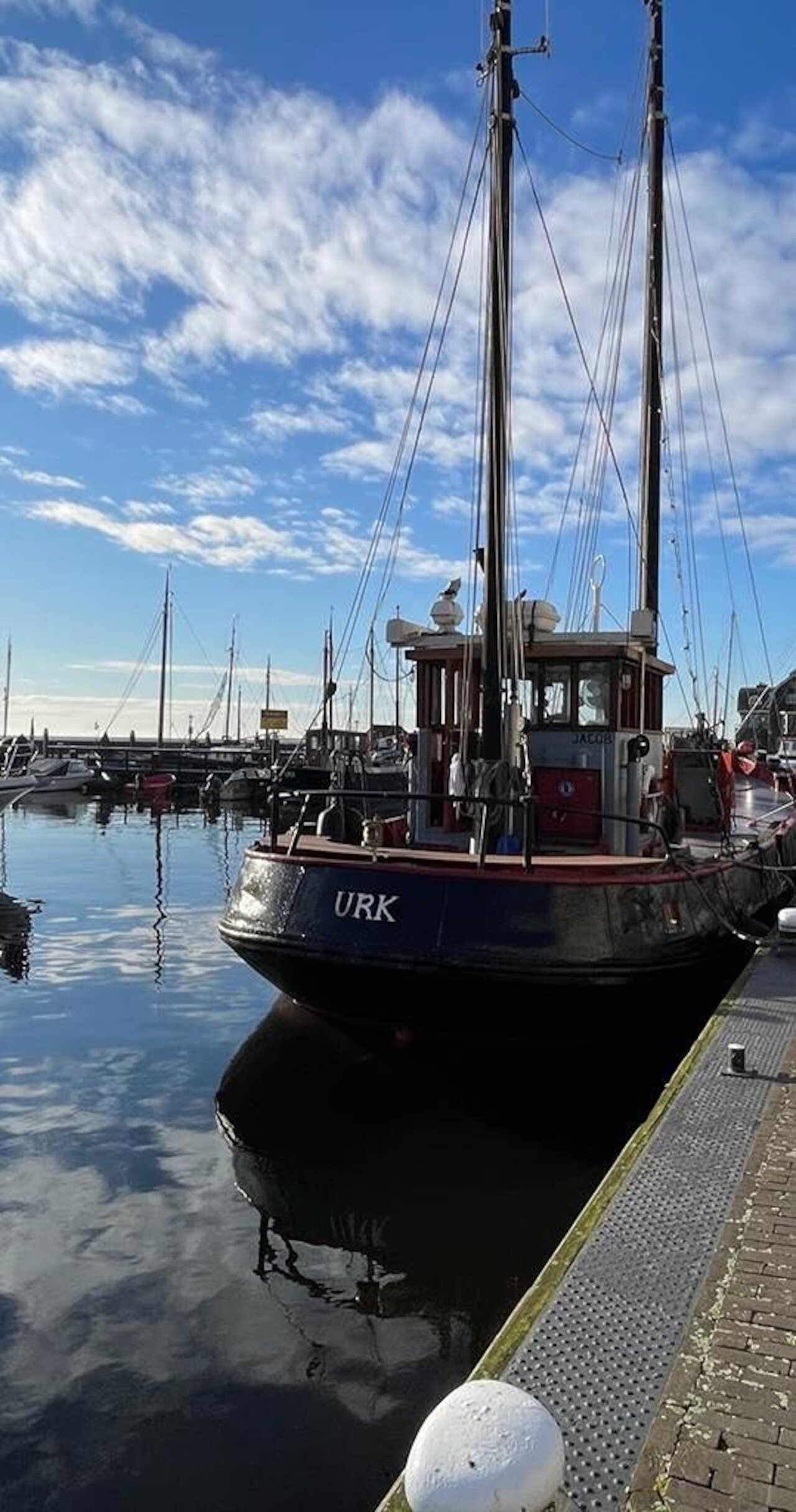 Nachhaltigkeitsprojekt mit Partnerschule in Emmeloord Image 8