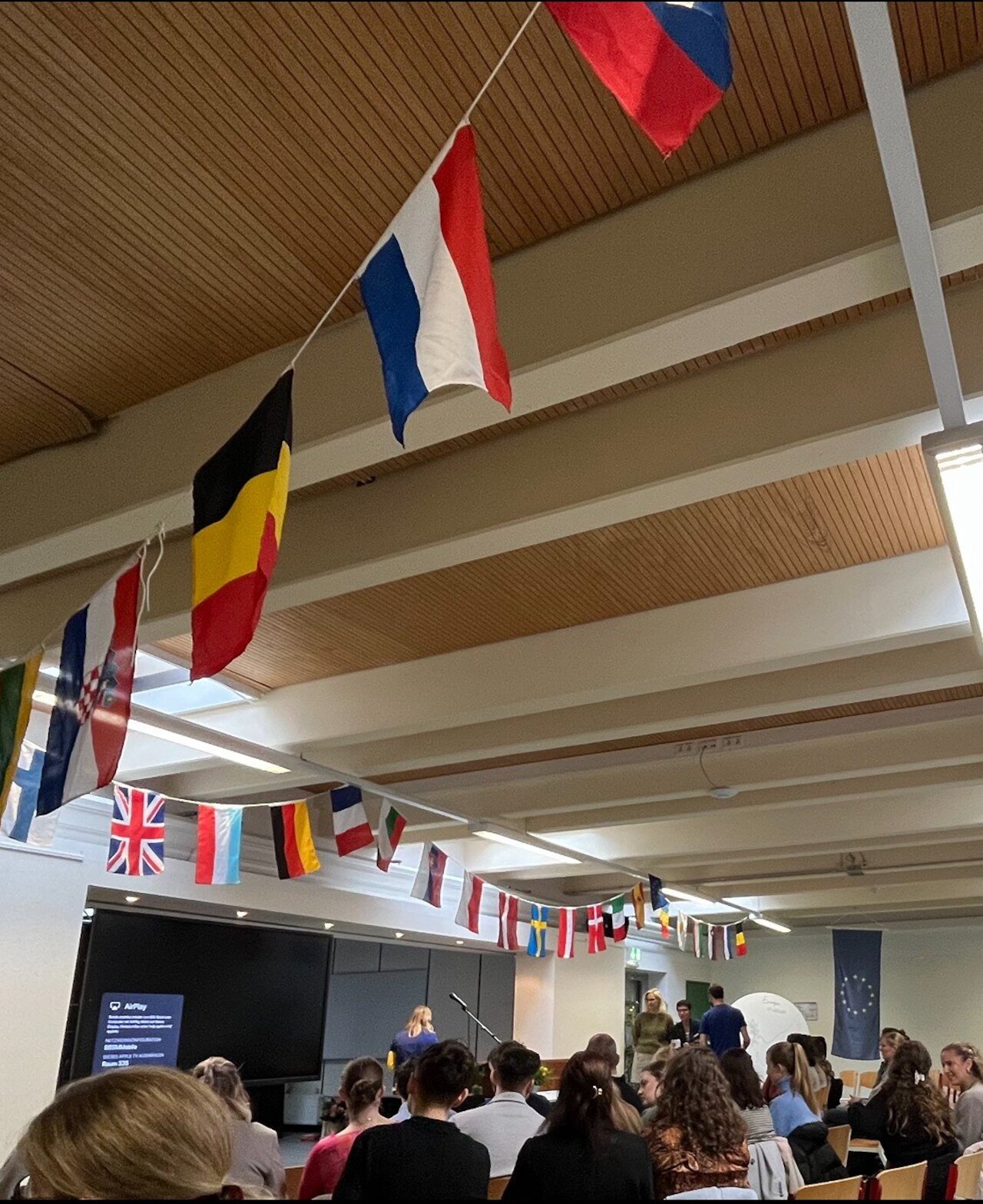 Danke Europa! Image 3