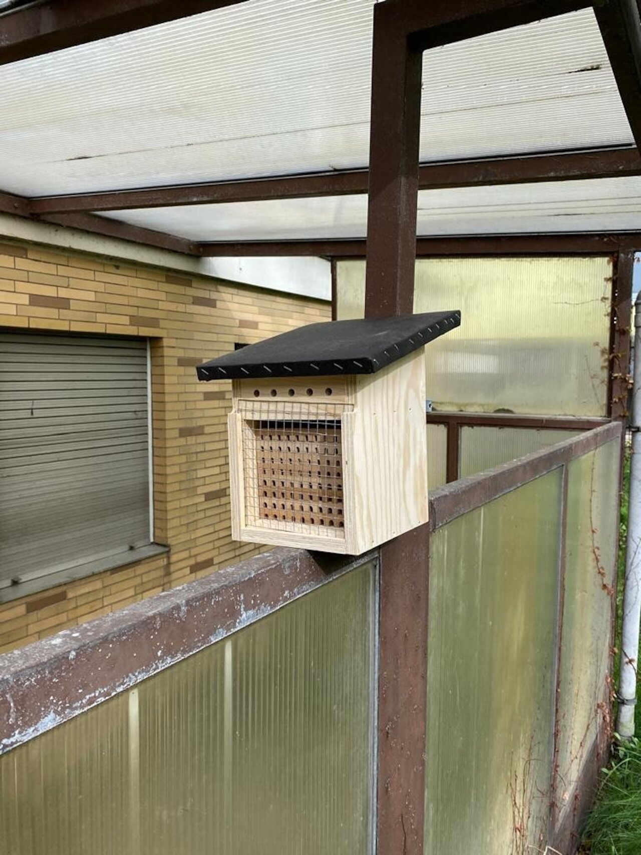 Es summt und brummt am Schölerberg Image 2