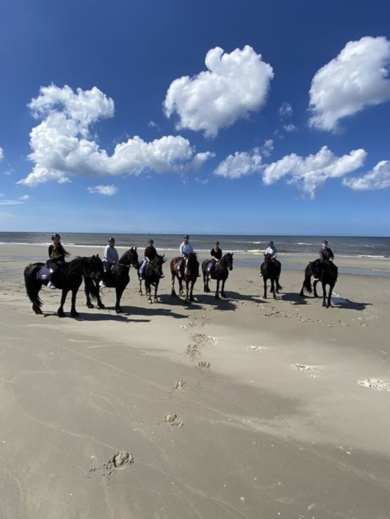 Projektfahrt nach Terschelling Image 2