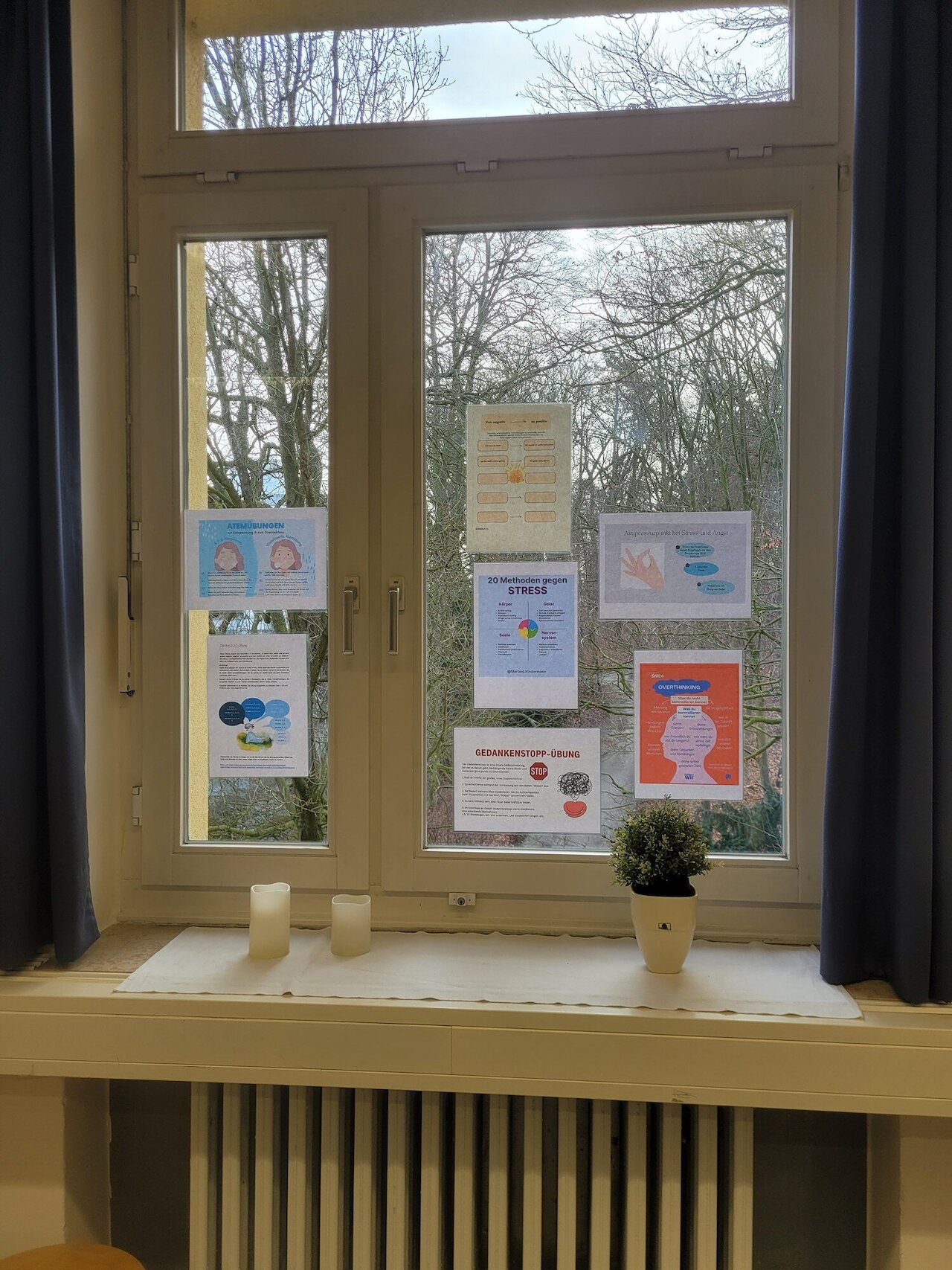 Projektwochen „Gesund leben lernen“ – Ein voller Erfolg für die Gesundheit Image 13