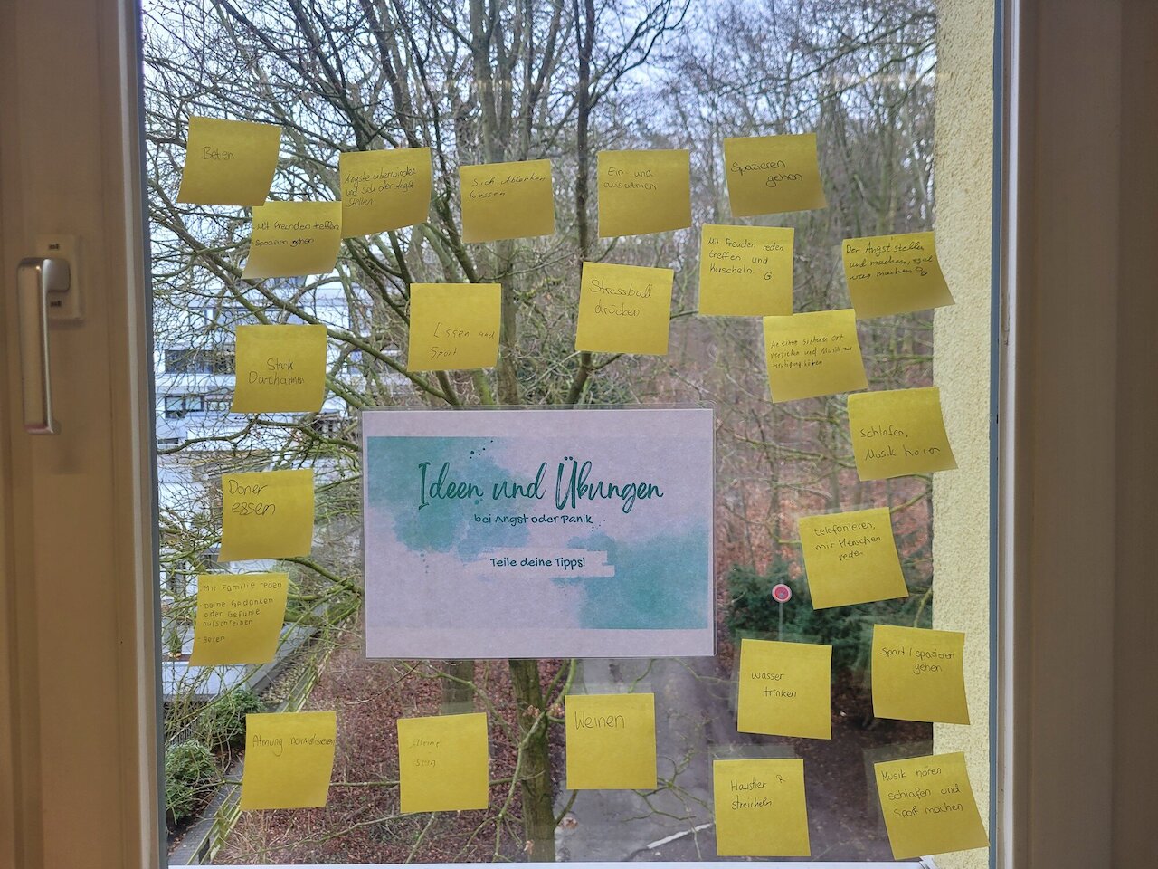 Projektwochen „Gesund leben lernen“ – Ein voller Erfolg für die Gesundheit Image 15