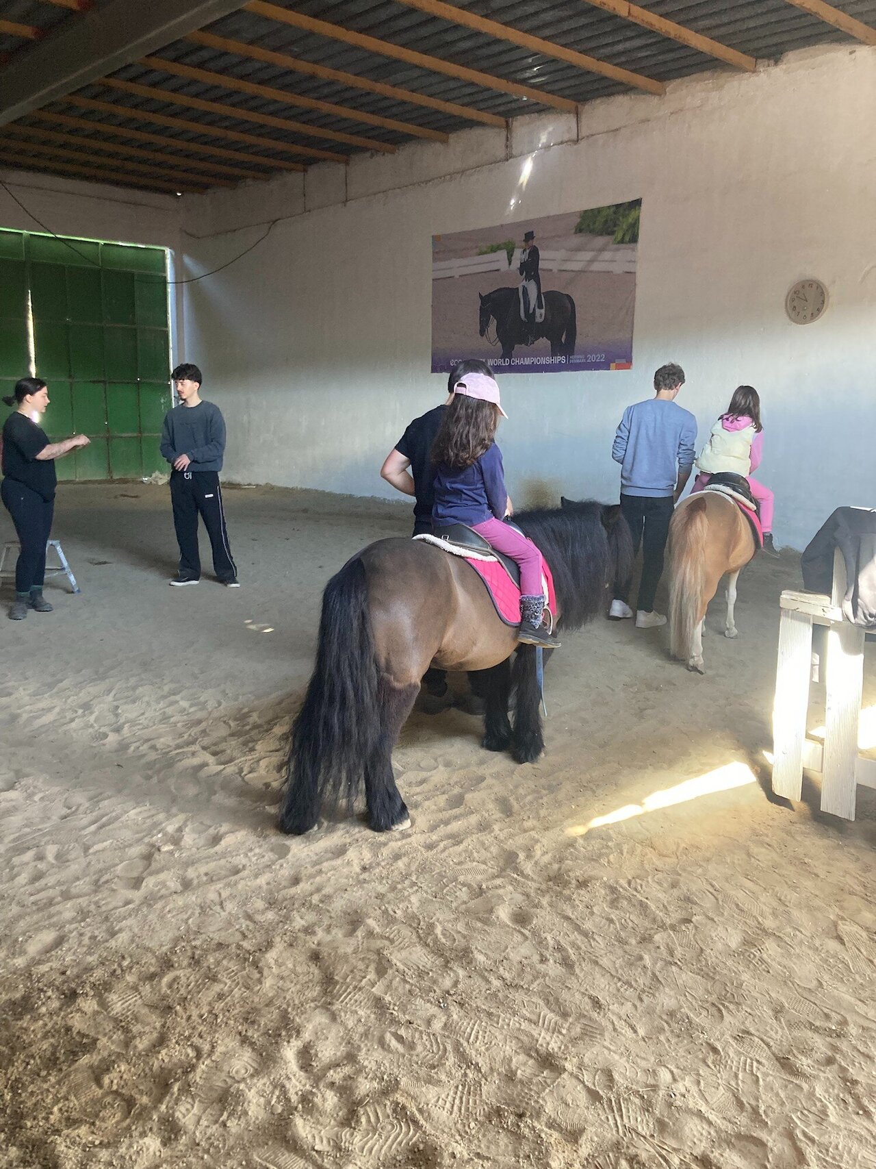 Lernen, wo andere Urlaub machen – Auslandspraktikum auf Kreta Image 2