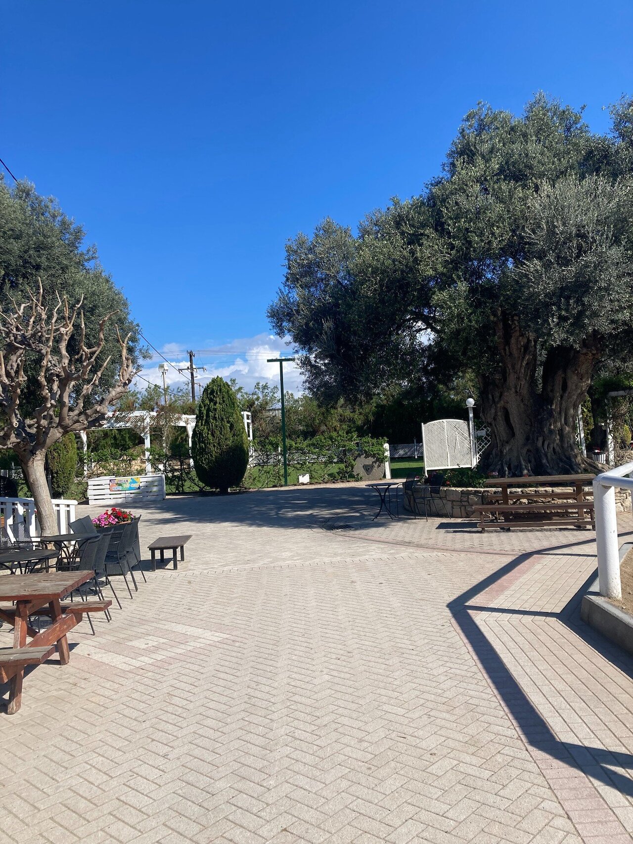 Lernen, wo andere Urlaub machen – Auslandspraktikum auf Kreta Image 4