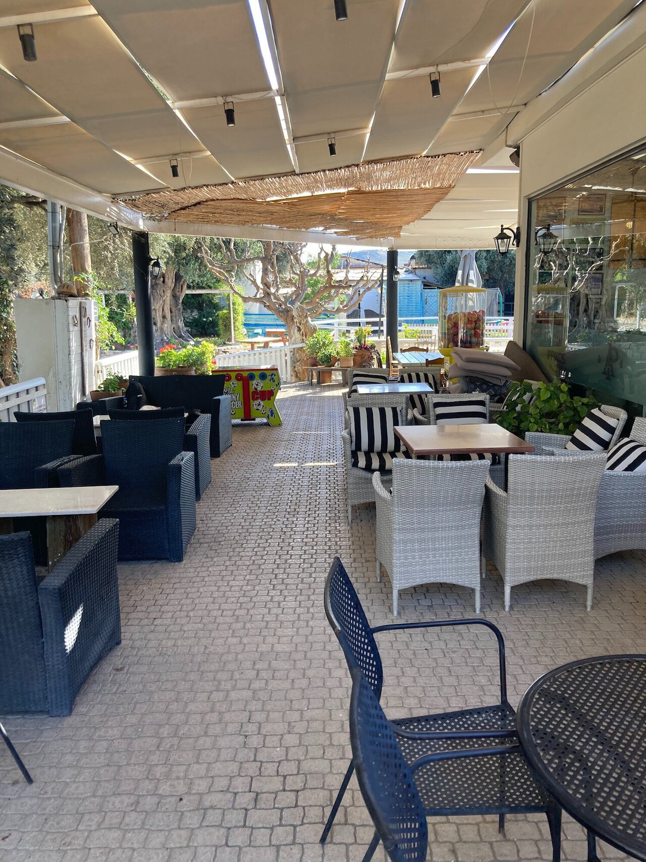 Lernen, wo andere Urlaub machen – Auslandspraktikum auf Kreta Image 5