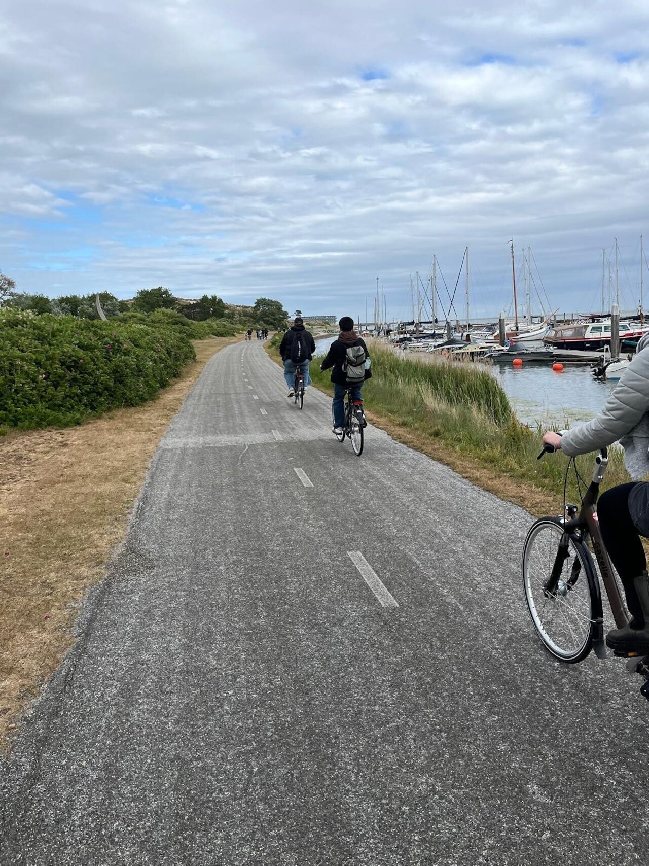 Austausch auf Terschelling Image 5