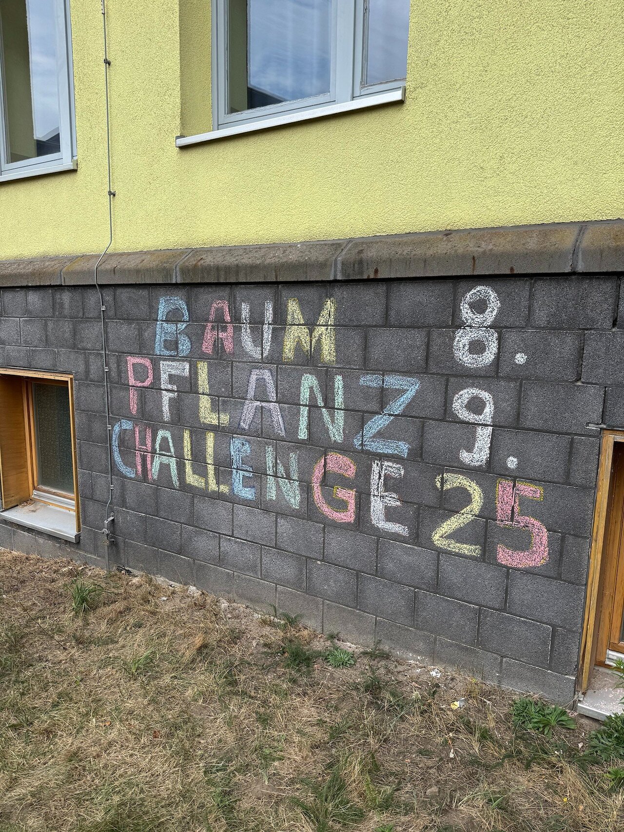 Baumpflanz-Challenge accepted! 