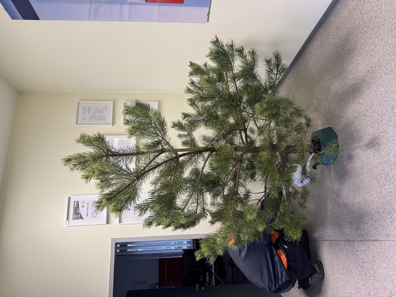 Ein vielseitiger Projekttag der Umwelt-AG Image 2