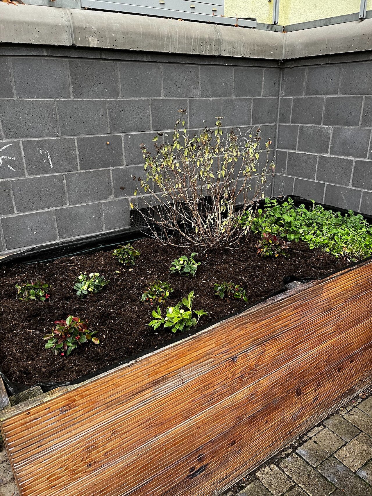 Ein vielseitiger Projekttag der Umwelt-AG Image 4