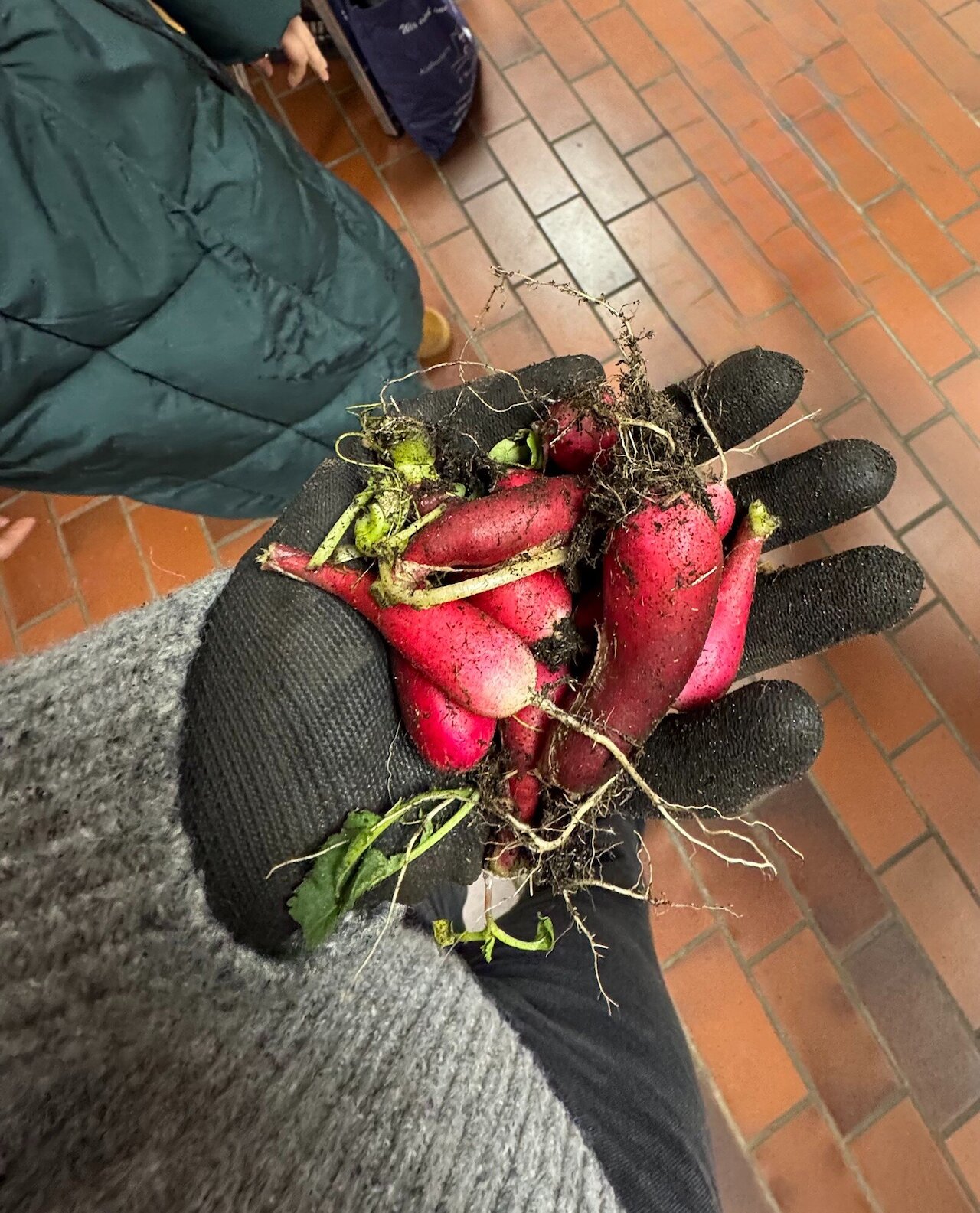 Ein vielseitiger Projekttag der Umwelt-AG Image 5