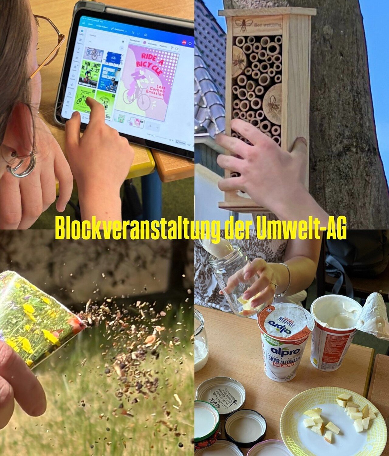Blockveranstaltung der Umwelt-AG Image 1