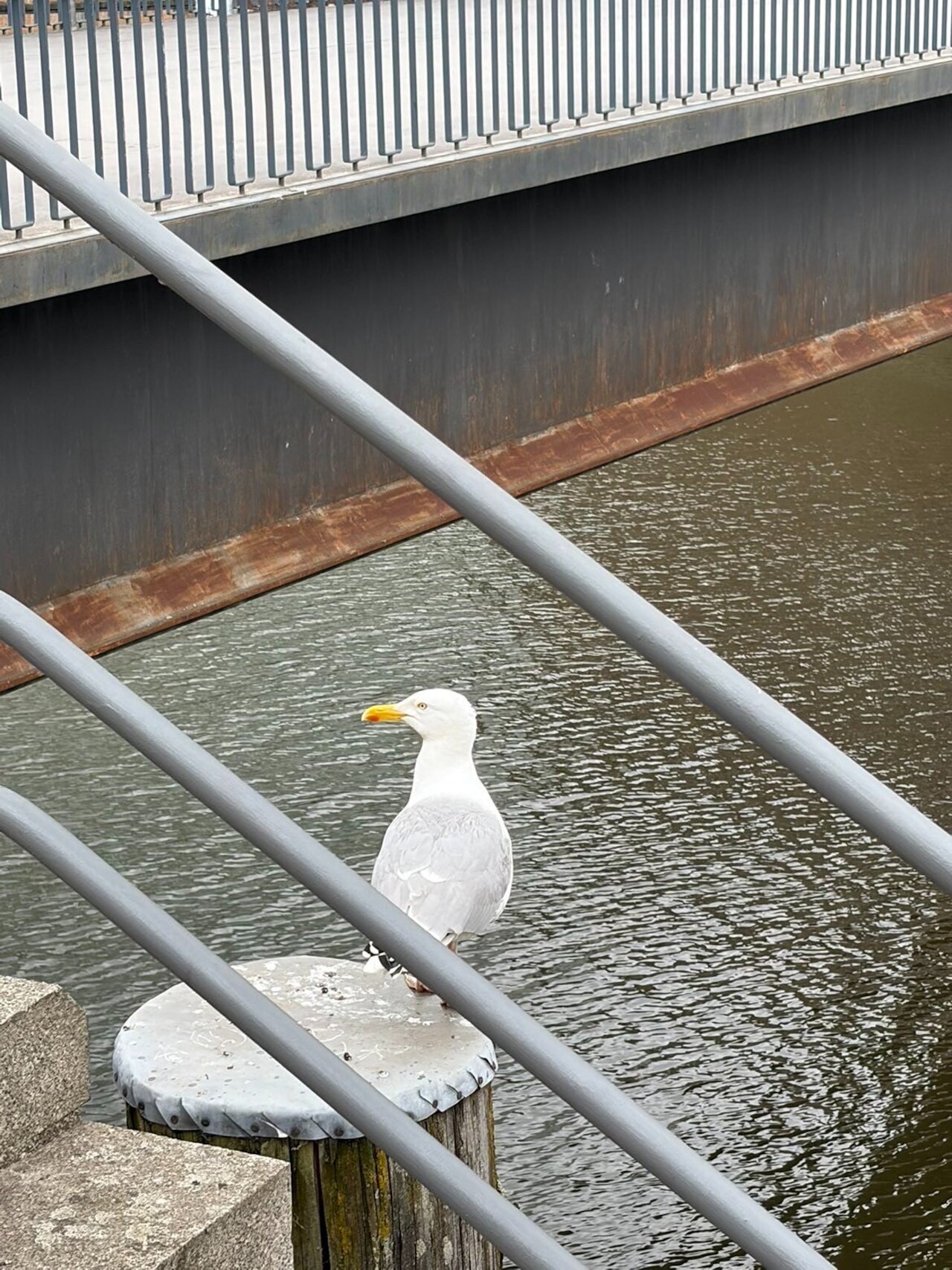 Umwelt-AG verbringt einen Tag in Hamburg Image 1