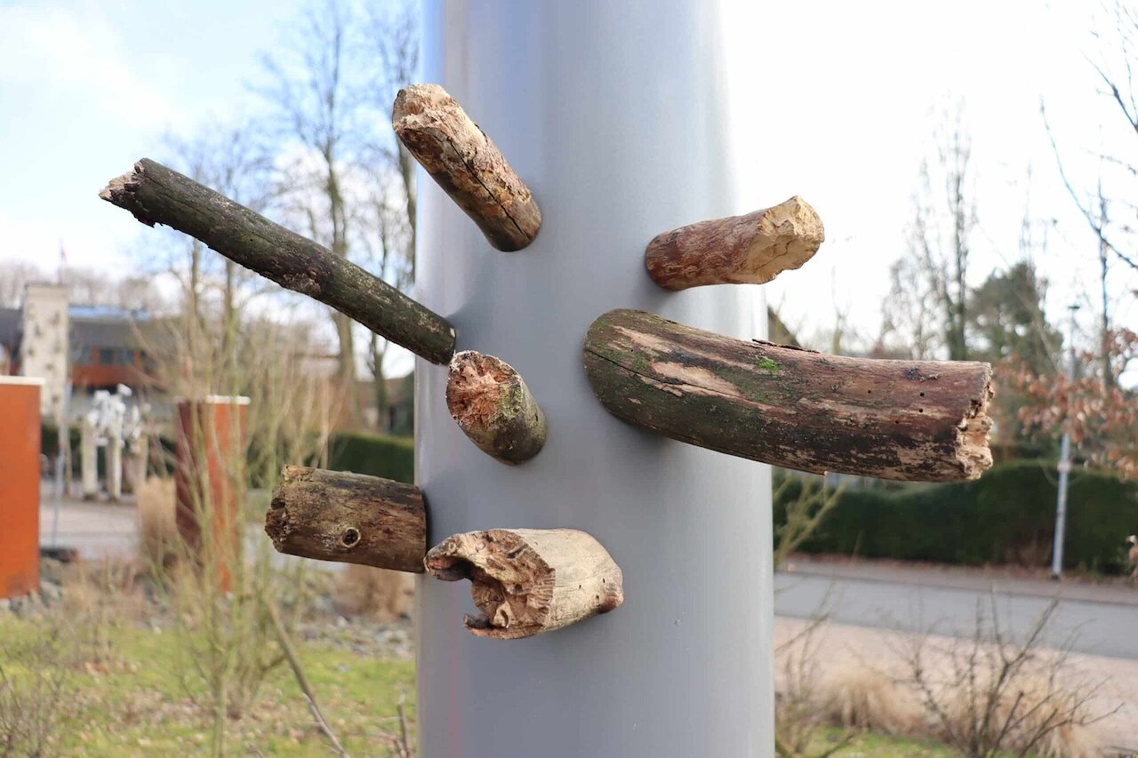 Ein Stück Holz – Kunst, Schöpfung und Verantwortung