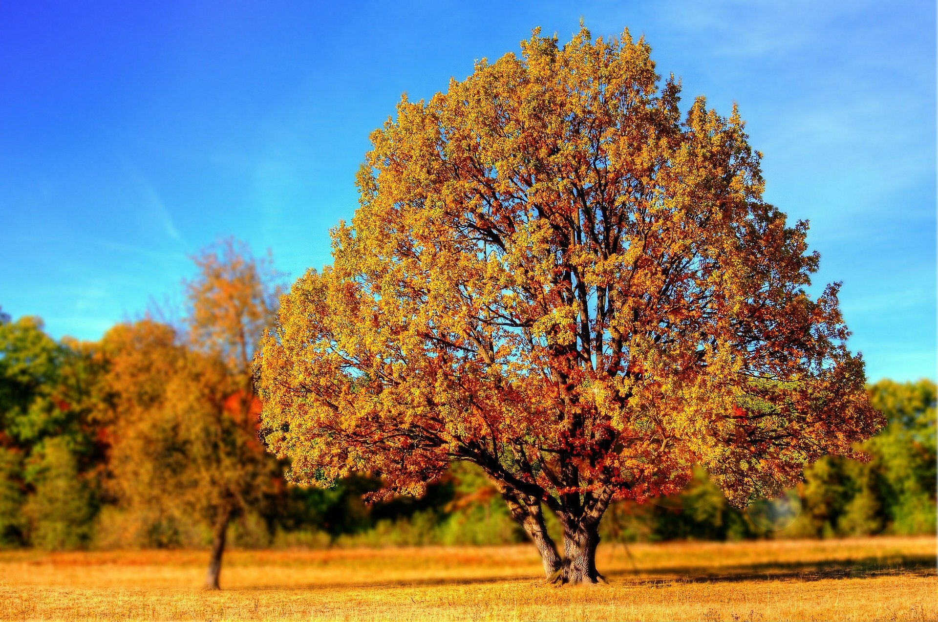Öffnungszeiten in den Herbstferien