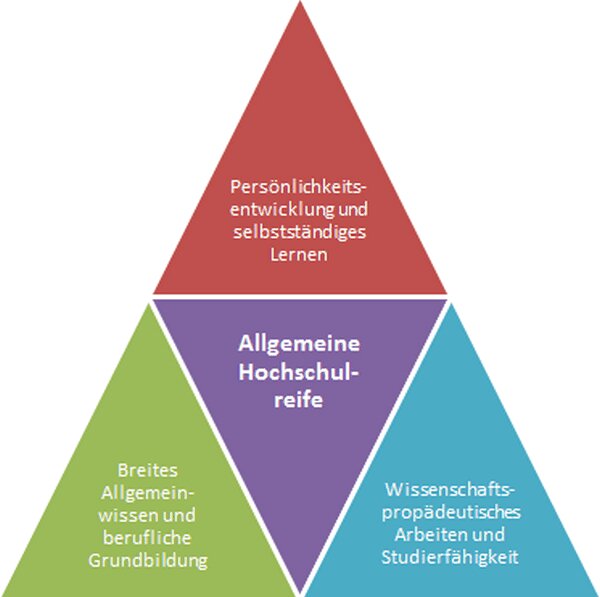 Schaubild Wirtschaftsgymnasium